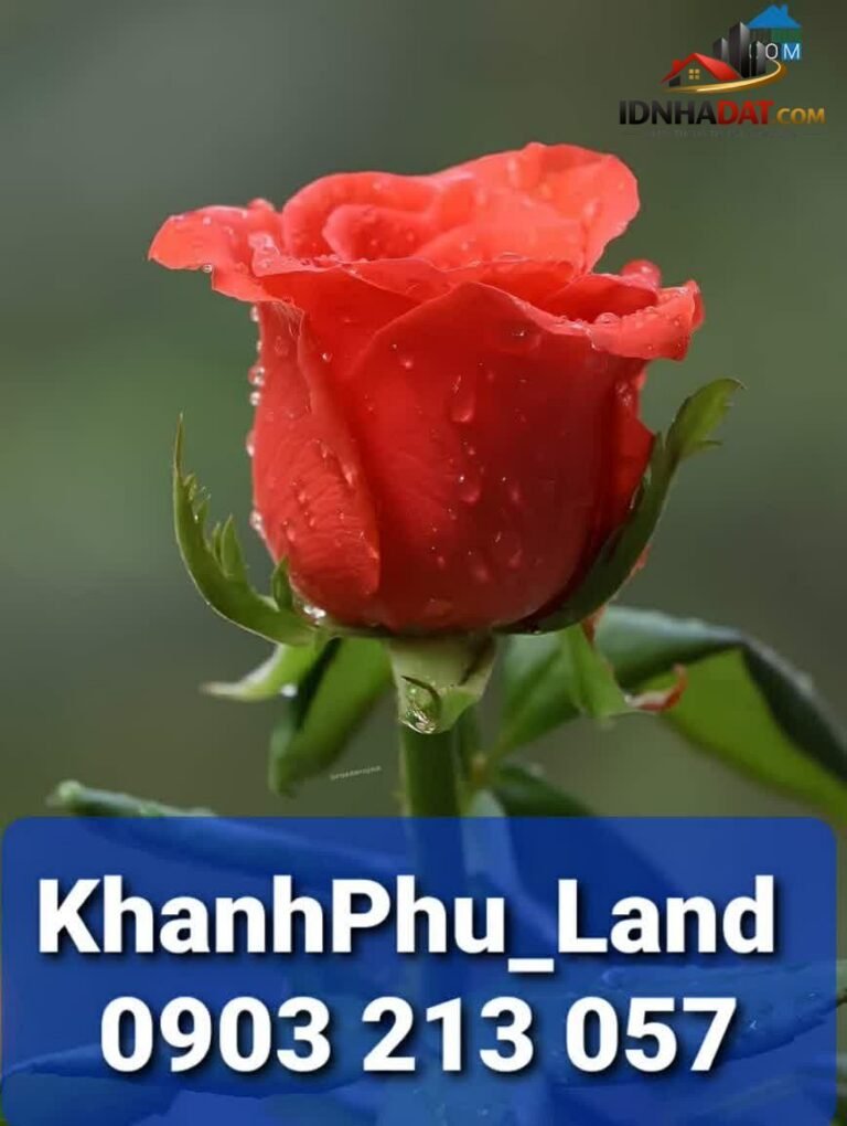 [Review Nhà Đất Sổ Đỏ] Nhà Đẹp 5 Tầng Giá Chỉ 5.95 Tỷ Tại Quận Tân Phú, TP Hồ Chí Minh