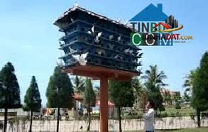 Nhà đẹp 5 tầng Lê Văn Quới, Quận Bình Tân, giá nhỉnh 7.5 tỷ
