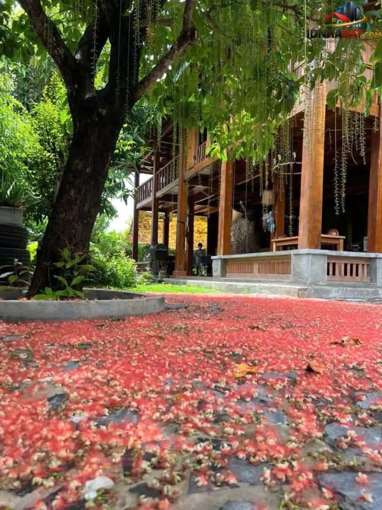 [Đánh Giá Bất Động Sản Sổ Đỏ] Đất thổ cư có sổ đỏ 227m2 tại Đường Nguyễn Văn Tạo, Nhà Bè – Tiềm năng đầu tư cao