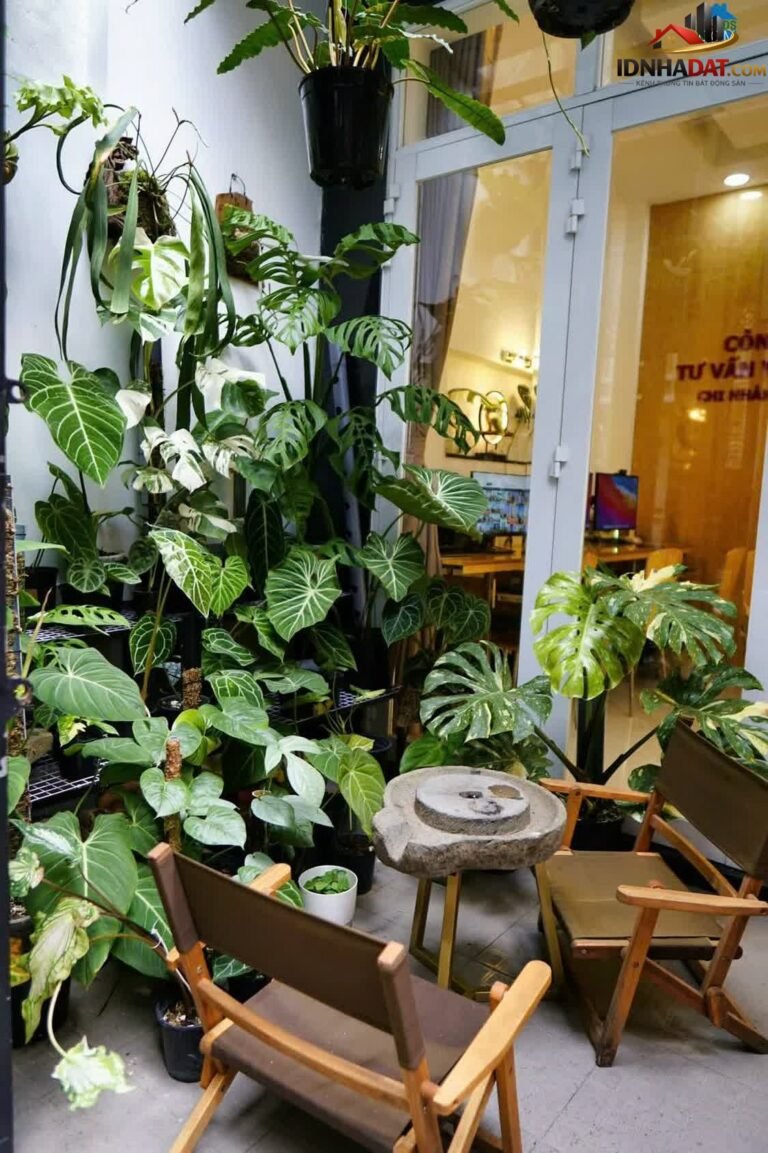 [Đánh Giá Bất Động Sản Sổ Đỏ] Nhà phố 3 tầng tại Đường Nguyễn Trường Tộ, Phú Nhuận, TP.HCM – Pháp lý rõ ràng, vị trí thuận lợi