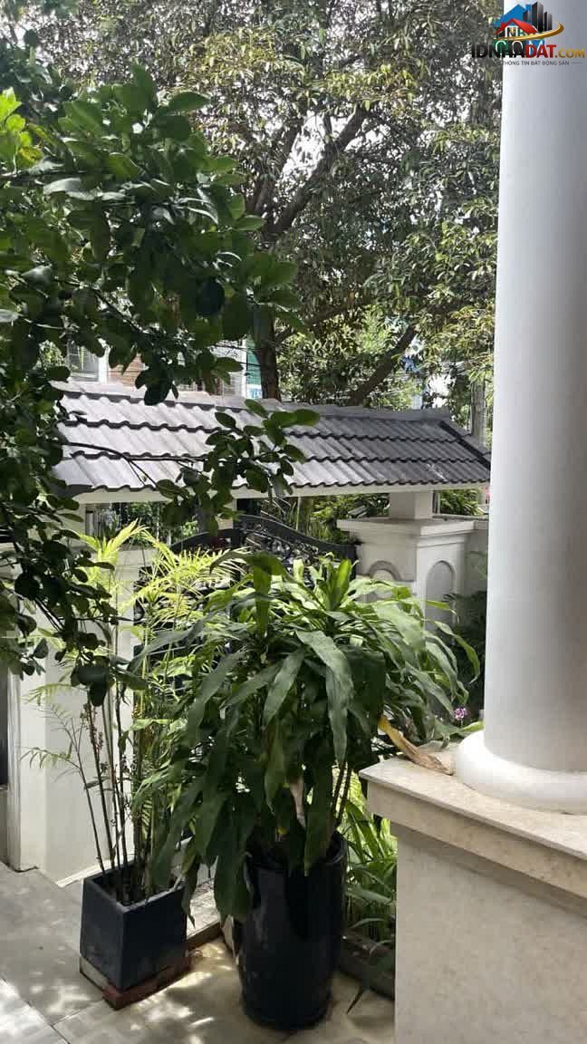 [Đánh Giá Bất Động Sản Sổ Đỏ] Biệt thự 3 tầng mặt tiền đường Nguyễn Đỗ Mục, Quận Cẩm Lệ, Đà Nẵng – Pháp lý rõ ràng, tiềm năng khai thác tốt