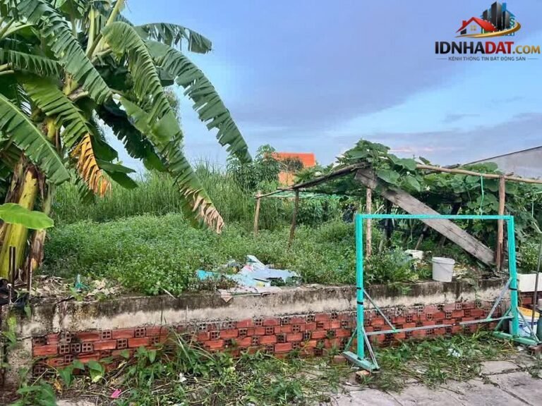 [Đánh Giá Bất Động Sản Sổ Đỏ] Đất thổ cư có sổ đỏ tại Đường Nguyễn Văn Tạo, Nhà Bè – Tiềm năng đầu tư giá trị