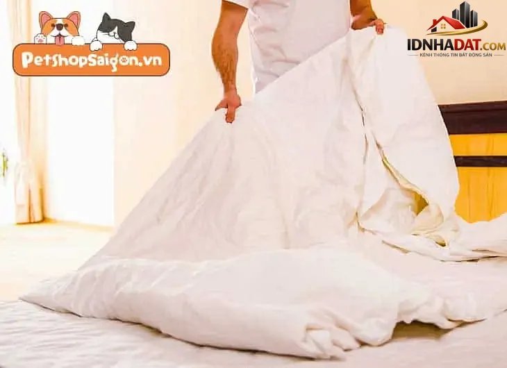 Cách giữ nhà luôn sạch sẽ khi nuôi chó mèo