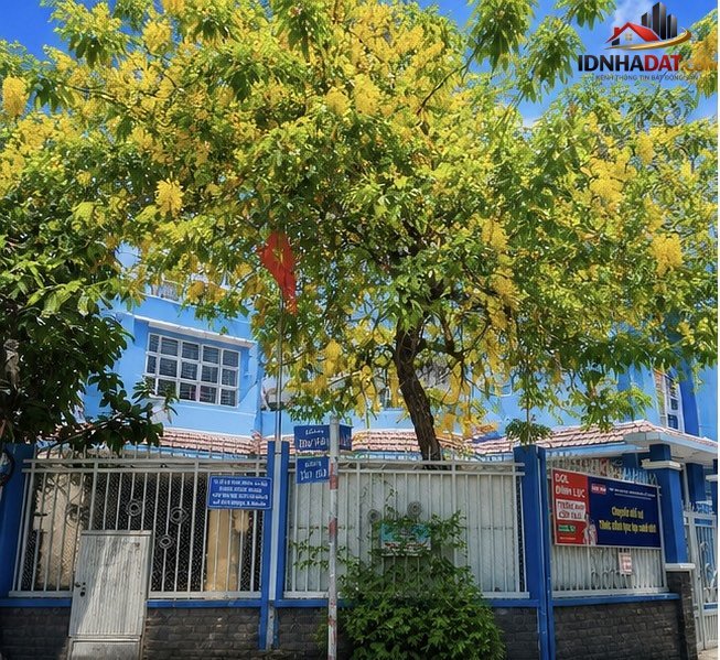 [Đánh Giá Bất Động Sản Sổ Đỏ] Nhà phố 65m2 tại Phường Tân Tiến, Quận Tân Bình, TP.HCM – Vị trí đắc địa và pháp lý rõ ràng