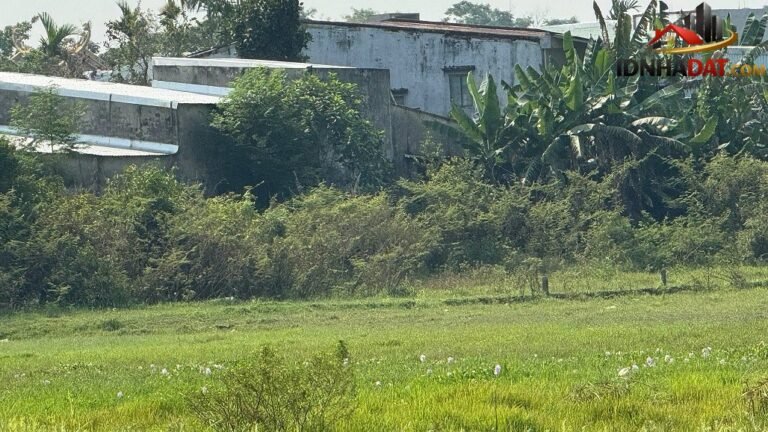 [Review Nhà Đất Sổ Đỏ] Đất thổ cư có sổ đỏ 10.000m2 tại Hòa Xuân, Đà Nẵng – Tiềm năng phát triển cao