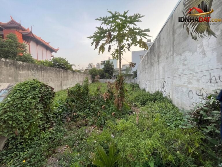 [Đánh Giá Bất Động Sản Sổ Đỏ] Đất thổ cư nở hậu 10m tại Thạnh Lộc, Gò Vấp – Cơ hội đầu tư hiếm có