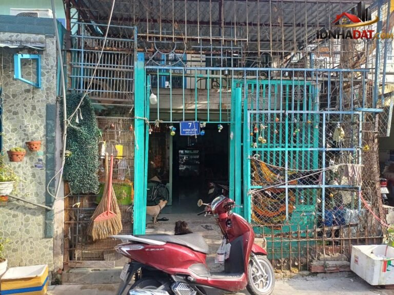 [Review Nhà Đất Sổ Đỏ] Đất Thổ Cư Có Sổ Đỏ 170m2 Tại Đường Tân Quý, Quận Tân Phú – Tiềm Năng Đầu Tư Cao