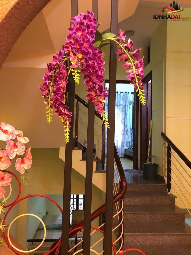 [Đánh Giá Bất Động Sản Sổ Đỏ] Nhà mặt tiền Lê Tấn Toán, Sơn Trà, Đà Nẵng – Vị trí đắc địa cho kinh doanh