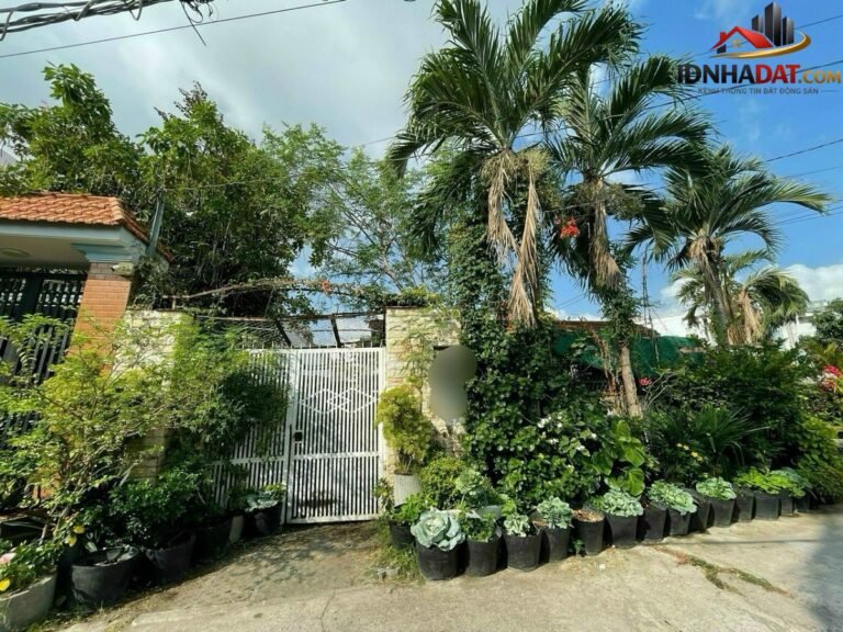 [Đánh Giá Bất Động Sản Sổ Đỏ] Nhà phố mặt tiền 49 phường Bình Thuận Q7, pháp lý rõ ràng, tiềm năng khai thác cao