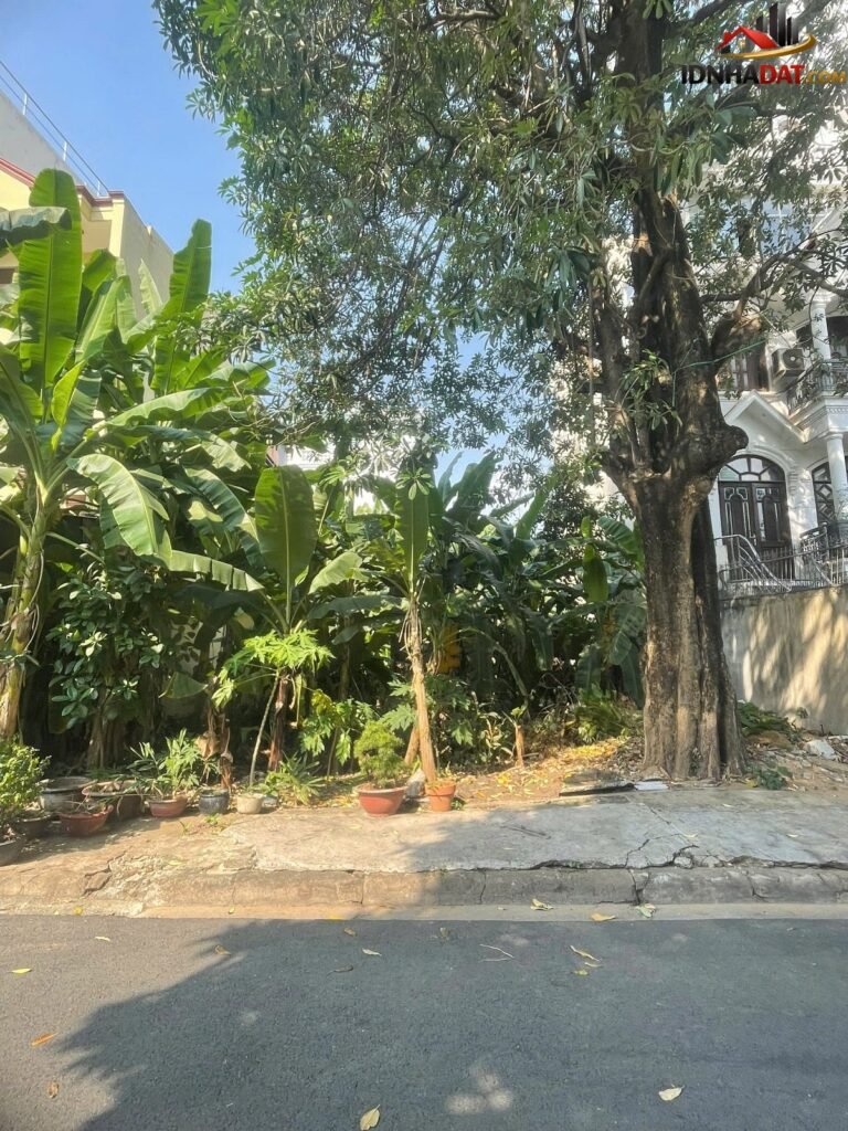 [Đánh Giá Bất Động Sản Sổ Đỏ] Biệt thự mặt tiền đường số 33, Quận 2 – Cơ hội đầu tư hiếm có