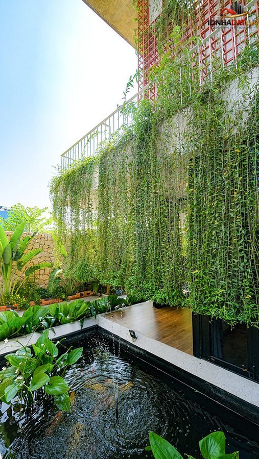 Biệt thự hiện đại 3 tầng ở Nha Trang che nắng bằng rèm dây leo - Ảnh 17.