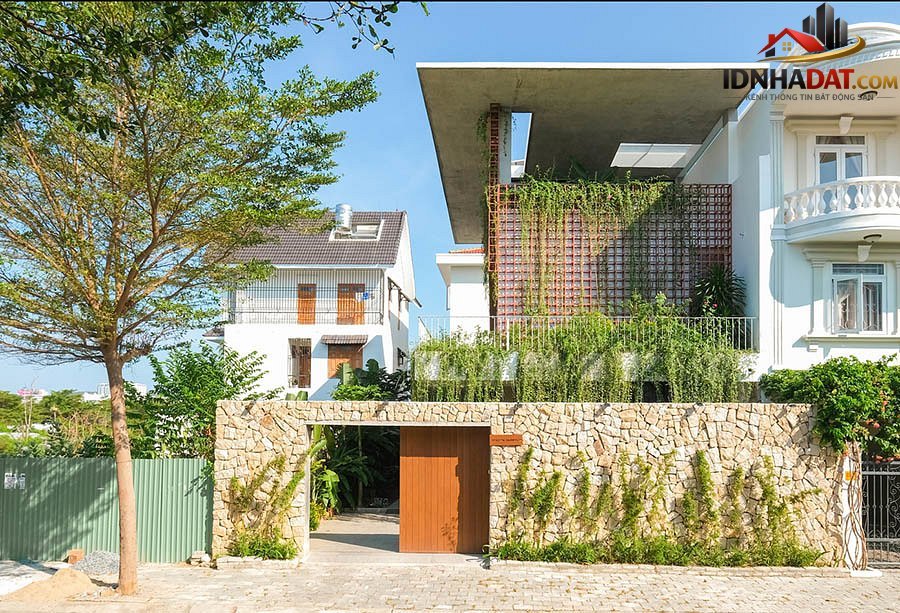 Biệt thự hiện đại 3 tầng ở Nha Trang che nắng bằng rèm dây leo - Ảnh 3.