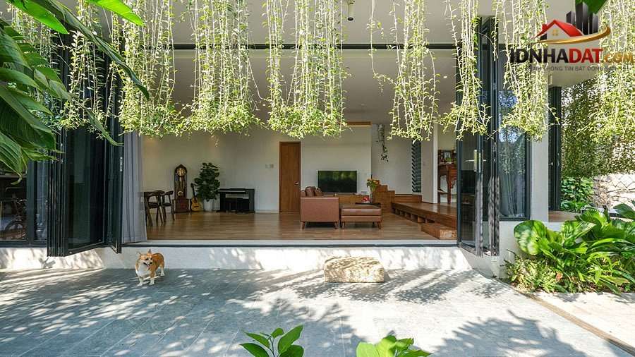 Biệt thự hiện đại 3 tầng ở Nha Trang che nắng bằng rèm dây leo - Ảnh 7.
