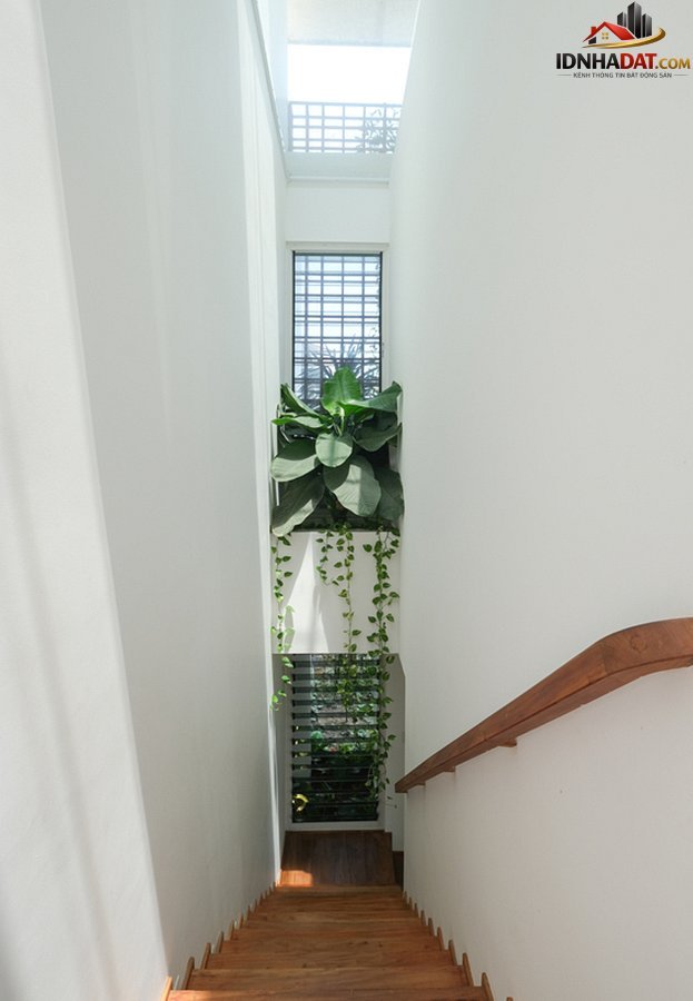 Biệt thự hiện đại 3 tầng ở Nha Trang che nắng bằng rèm dây leo - Ảnh 9.