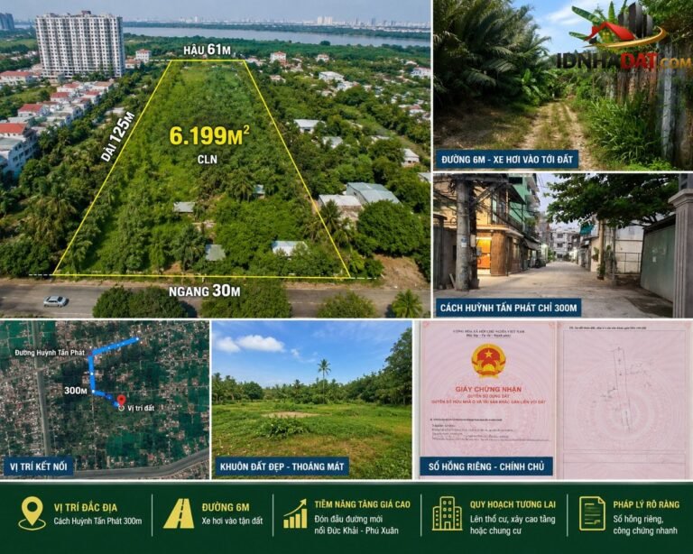 [Đánh Giá Bất Động Sản Sổ Đỏ] Đất thổ cư 6.199m² tại Nhà Bè, Hồ Chí Minh – Tiềm năng phát triển lớn với sổ đỏ