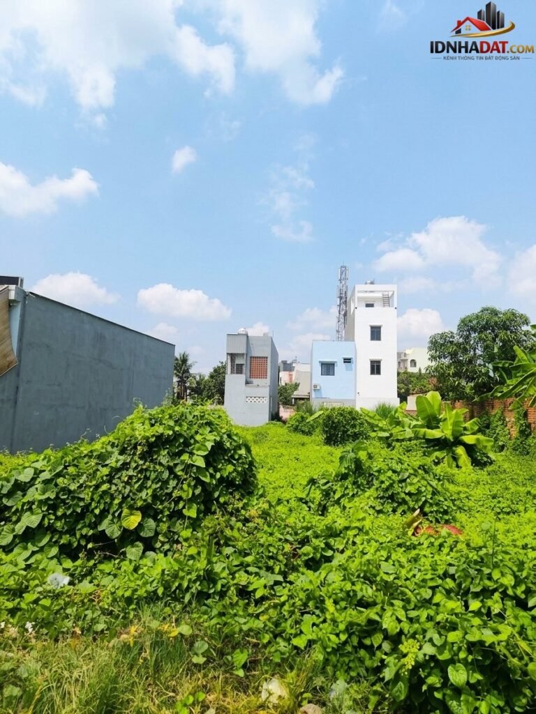 [Đánh Giá Bất Động Sản Sổ Đỏ] Đất Thổ Cư 480m2 Nở Hậu Tại An Phú Đông, Quận 12 – Sổ Đỏ Rõ Ràng, Tiềm Năng Đầu Tư Cao
