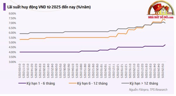 Lãi suất được kỳ vọng hạ nhiệt- Ảnh 2.