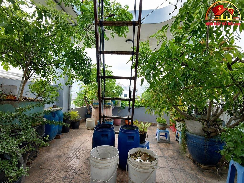 Bán nhà đất Đường Phạm Văn Hai – Phường cũ 3 Quận Tân Bình – Phường mới 3 – Thành phố Hồ Chí Minh – Diện tích 54 m2 – Giá 11.5 tỷ