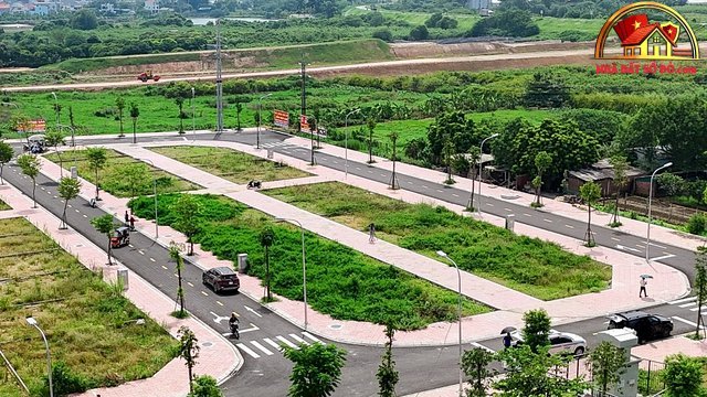 Xu hướng đất đấu giá 2026–2027: Thị trường bất động sản sổ đỏ thay đổi nhanh chóng