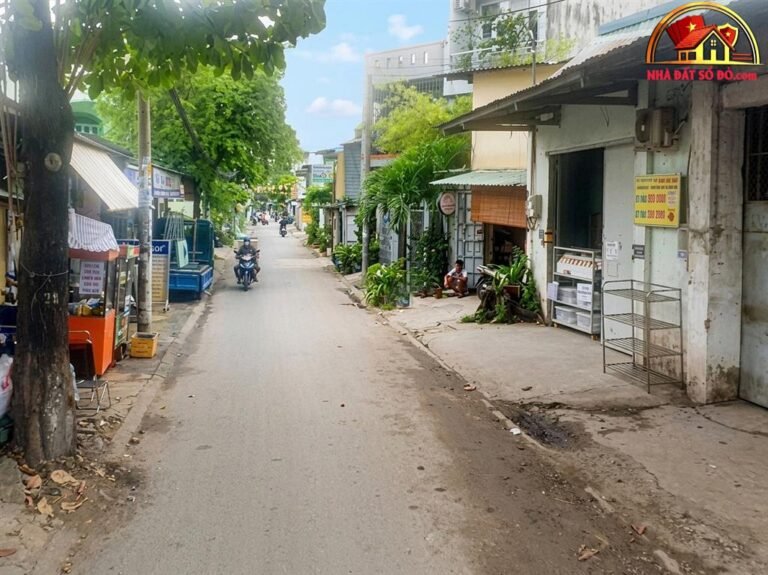 Bán nhà đất Đường Số 8 – Phường cũ Bình Hưng Hòa Quận Bình Tân – Phường mới Bình Hưng Hòa – Thành phố Hồ Chí Minh – Diện tích 325 m2 – Giá 18.6 tỷ