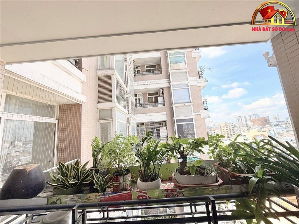 Chung cư Thuận Việt – Quận 11 – 98m² – 6.5 tỷ – Bán nhà đất đường Lý Thường Kiệt – Phường cũ 15 – Phường mới 15 – Thành phố Hồ Chí Minh