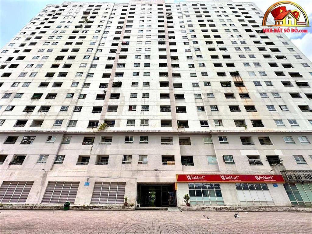 Bán nhà đất Đường Phạn Chu Trinh – Phường cũ 12 Quận Bình Thạnh – Phường mới 12 – Thành phố Hồ Chí Minh Diện tích 61 m2 – Giá 3.95 tỷ