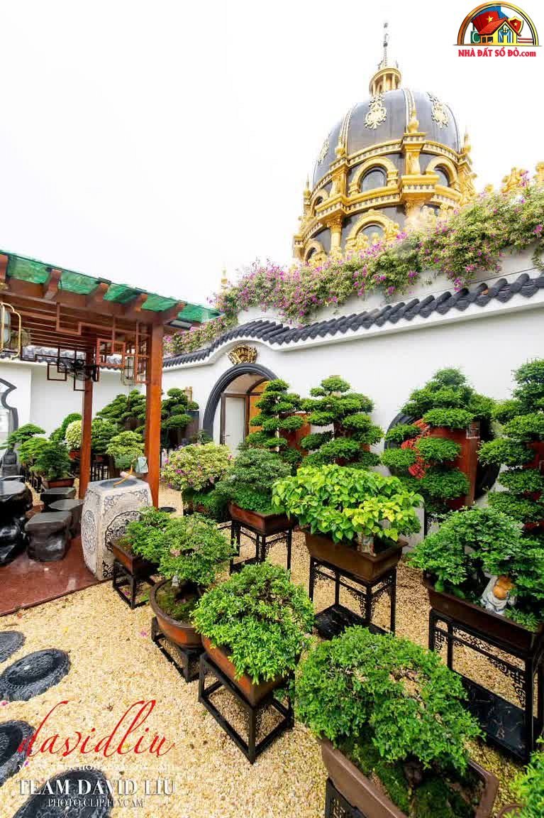 Cần bán gấp Dinh Thự Trần Văn Kiểu – Quận 6 – Thành phố Hồ Chí Minh – 2685 m² – 300 tỷ
