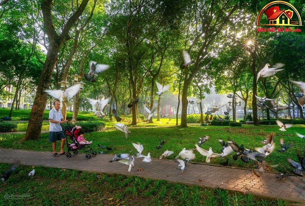 Bán nhà đất Đường Không xác định – Phường cũ… – Bán nhà trong ngõ, hẻm Quận Tân Phú – TP Hồ Chí Minh giá 10 – 15 tỷ