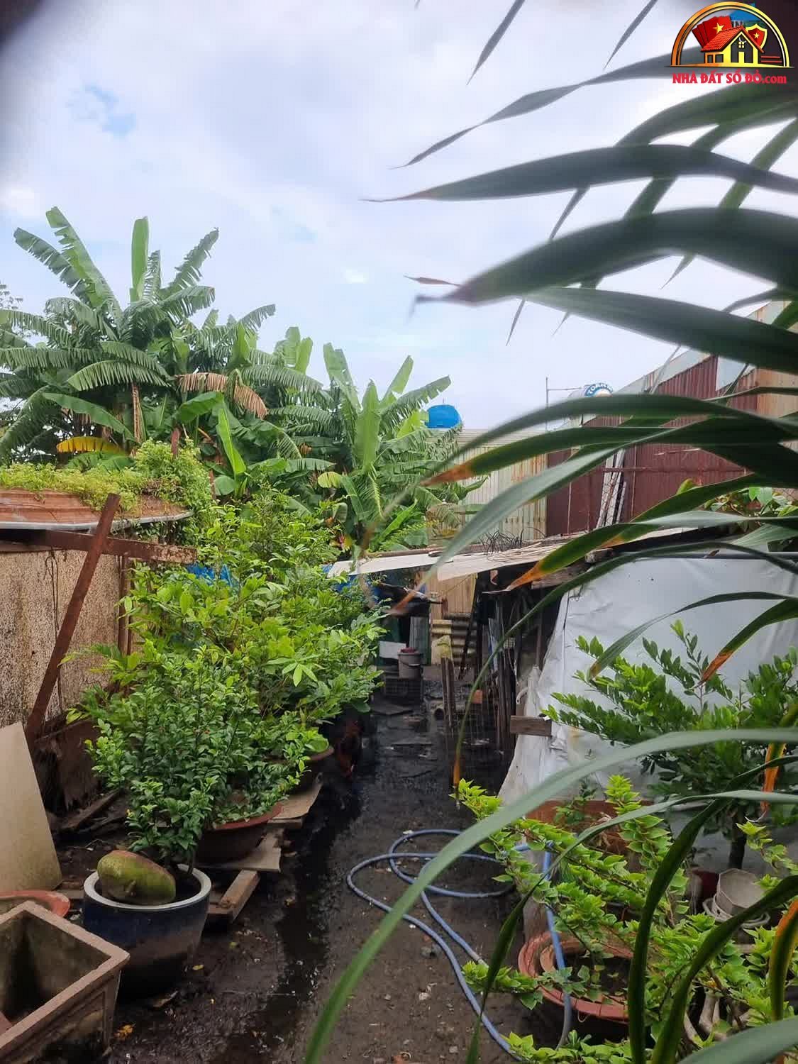 Bán đất đường Thống Nhất – Phường cũ Gò Vấp – Phường mới Gò Vấp – Thành phố Hồ Chí Minh diện tích 120 m² giá 6 tỷ