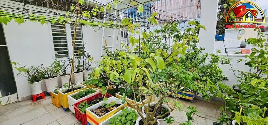 Nhà mặt phố đường C1 – Quận Tân Bình – Thành phố Hồ Chí Minh – Diện tích 45 m² – Giá 16.5 tỷ