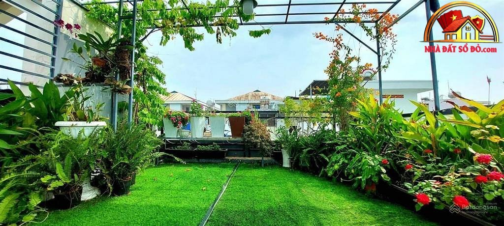 Nhà Mặt Tiền Đường Số 8A – Phường cũ Bình Trị Đông B Quận Bình Tân – Phường mới An Lạc – Thành phố Hồ Chí Minh Diện Tích 49 m2 Giá 9 tỷ