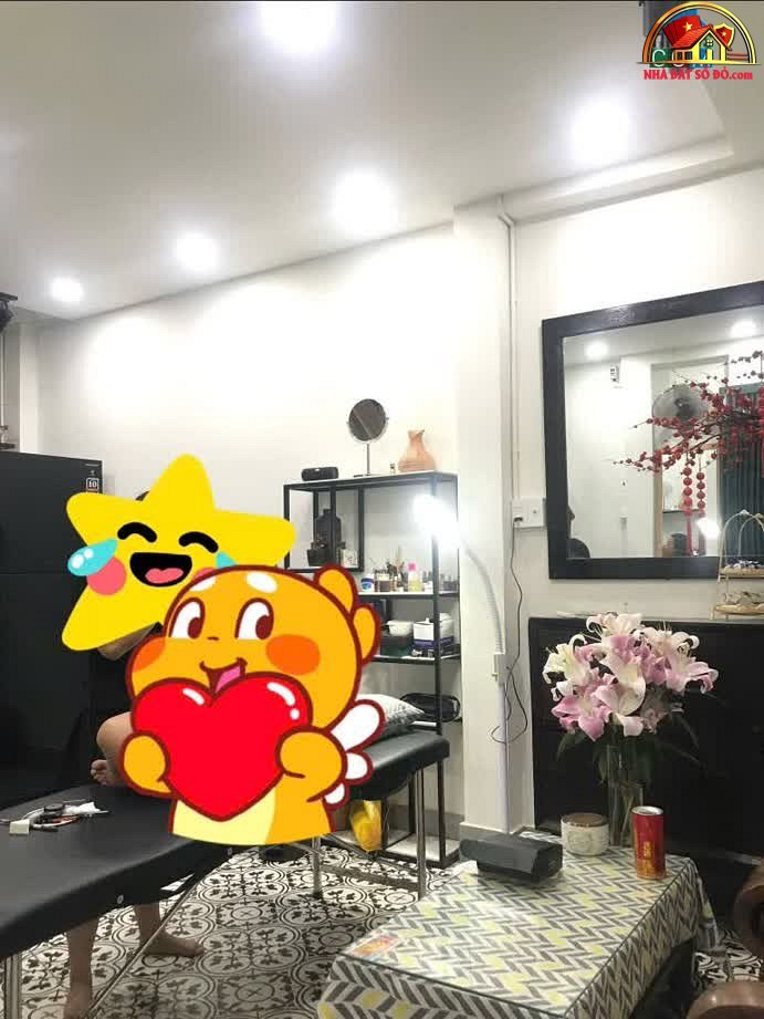 Bán nhà đất Đường Hồng Lạc – Phường cũ 11 Quận Tân Bình – Phường mới 11 – Thành phố Hồ Chí Minh 19 m² 2.5 tỷ