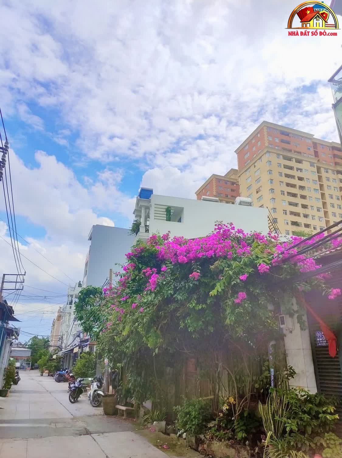 Bán nhà mặt phố Đường Lê Văn Quới – Phường cũ Bình Hưng Hòa A Quận Bình Tân – Phường mới Bình Hưng Hòa A – Thành phố Hồ Chí Minh diện tích 56 m² giá 5 tỷ