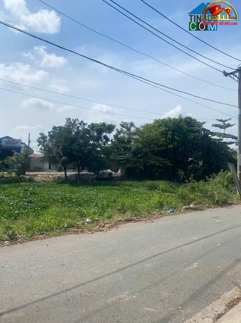 Bán đất Đường Trần Hải Phụng – Phường cũ Bình Tân – Quận Bình Tân – Tỉnh Hồ Chí Minh diện tích 146 m² giá 420 triệu