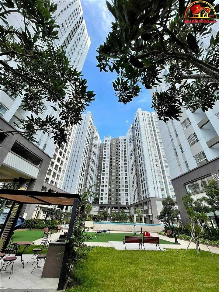 Bán nhà đất Đường Hòa Bình – Phường cũ Hiệp Tân Quận Tân Phú – Phường mới Hiệp Tân – Thành phố Hồ Chí Minh 65 m2 3.6 tỷ