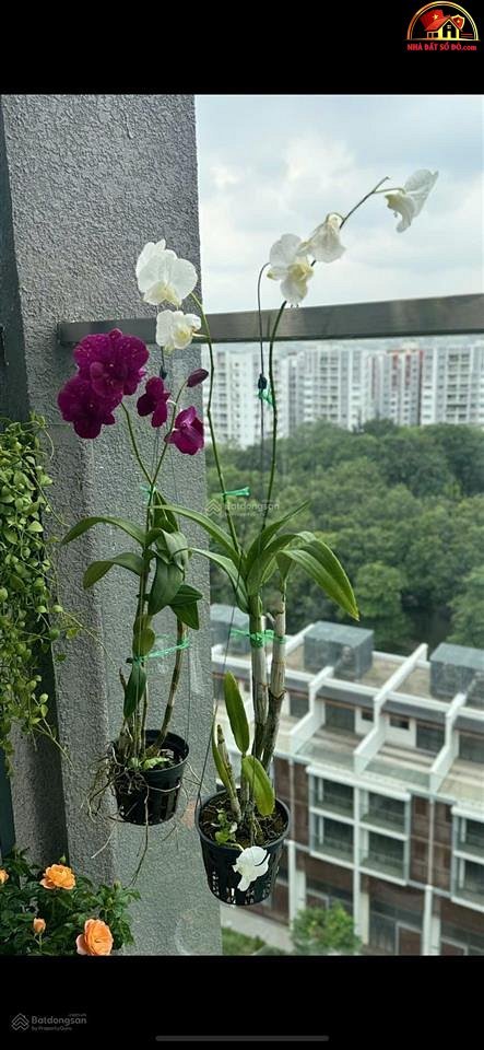 Bán nhà đất Đường Không xác định – Phường cũ… – Bán nhà trong ngõ, hẻm Quận Tân Phú – TP Hồ Chí Minh giá 7 – 10 tỷ