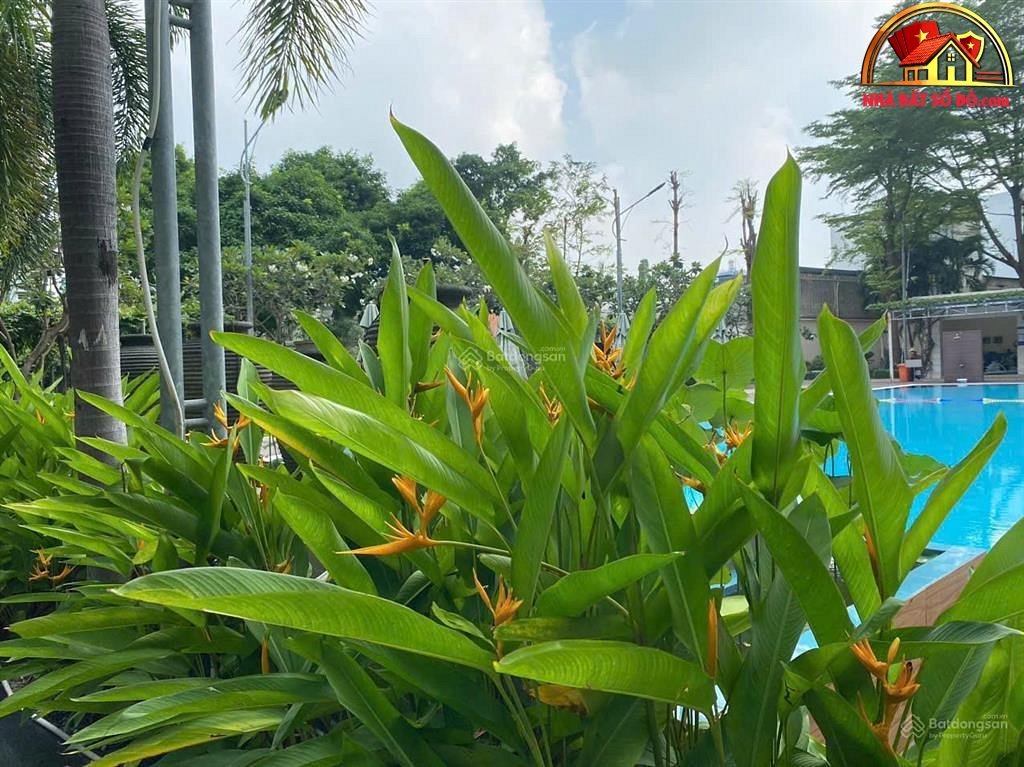 Bán nhà đất đường Him Lam Chợ Lớn – Phường cũ 11 Quận 6 – Phường mới 11 – Thành phố Hồ Chí Minh diện tích 83 m² giá 4.65 tỷ