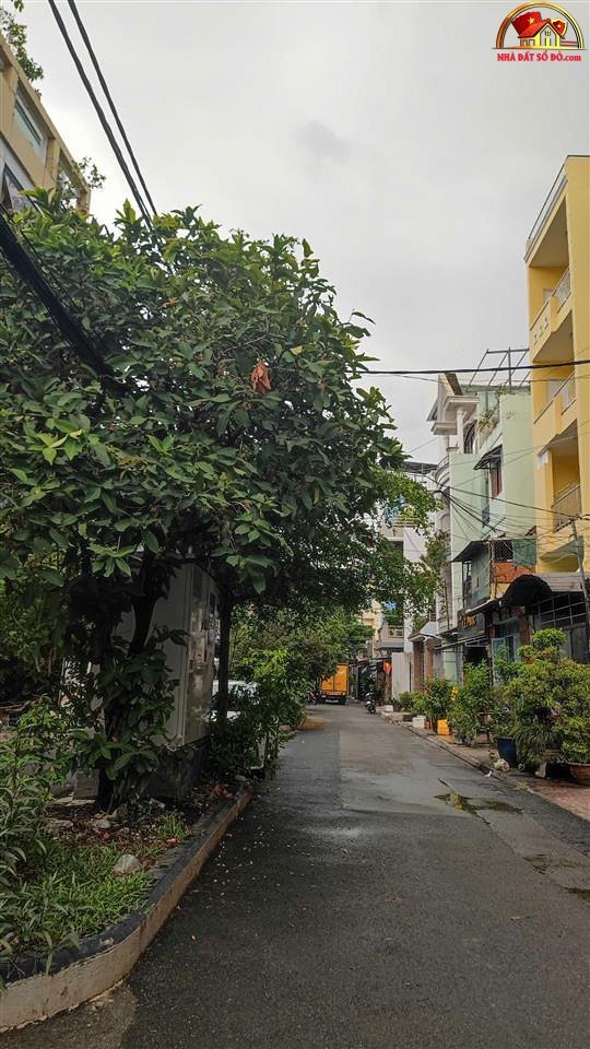 Bán nhà đất Đường Lạc Long Quân – Phường cũ 9 Quận Tân Bình – Phường mới 9 – Thành phố Hồ Chí Minh 69 m2 15.5 tỷ