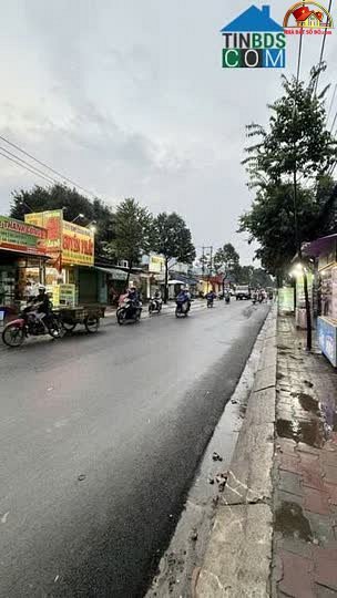 bán nhà đất Đường Tỉnh Lộ 10 – Phường cũ Tân Tạo Quận Bình Tân – Phường mới Không xác định – Thành phố Hồ Chí Minh diện tích 80.5 m² giá 7700000000