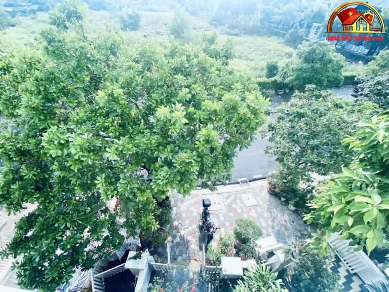 Bán nhà đất Đường Vườn Lài – Phường cũ An Phú Đông Quận 12 – Phường mới An Phú Đông – Thành phố Hồ Chí Minh diện tích 114 m² giá 12.5 tỷ
