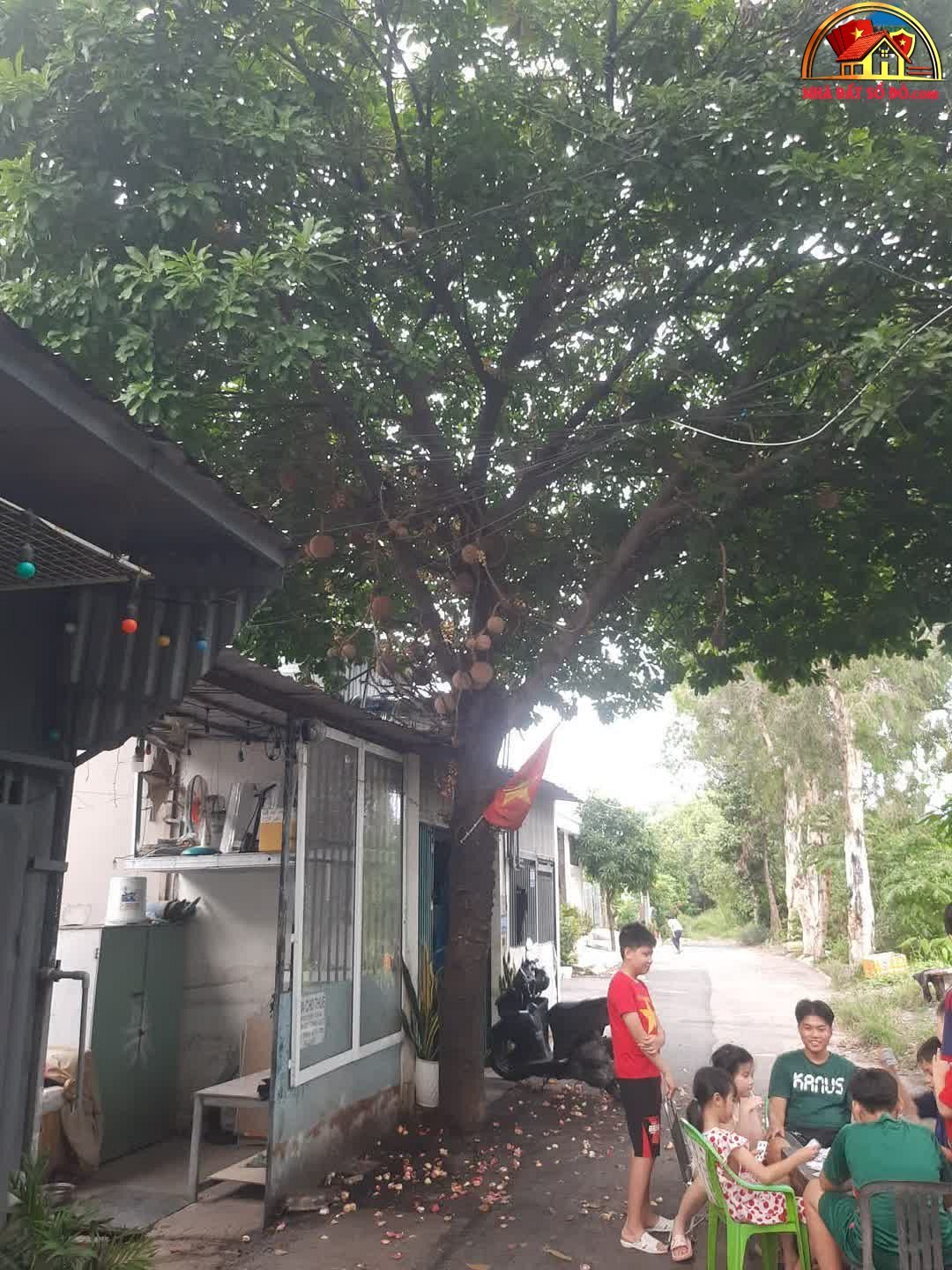 Bán nhà đất Đường Thạnh Xuân – Phường cũ Thạnh Xuân Quận 12 – Phường mới Thạnh Xuân – Thành phố Hồ Chí Minh 30 m² 1320000000