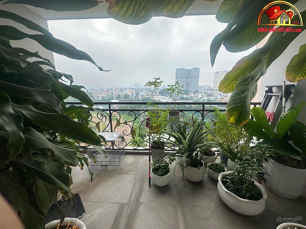 Bán nhà đất Đường Lê Đại Hành – Phường cũ 15 Quận 11 – Phường mới 15 – Thành phố Hồ Chí Minh 220m2 16.8 tỷ