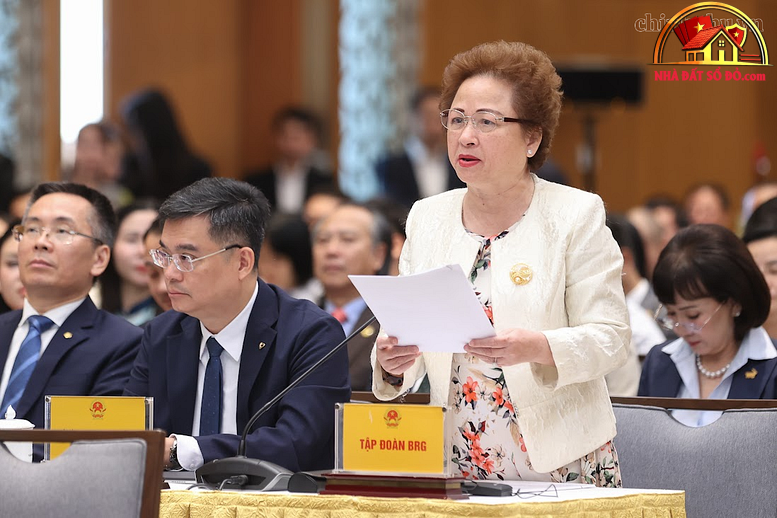 Chủ tịch BRG đề xuất thí điểm cơ chế đặc thù với tổ hợp thương mại, du lịch và vui chơi giải trí quy mô lớn- Ảnh 1.