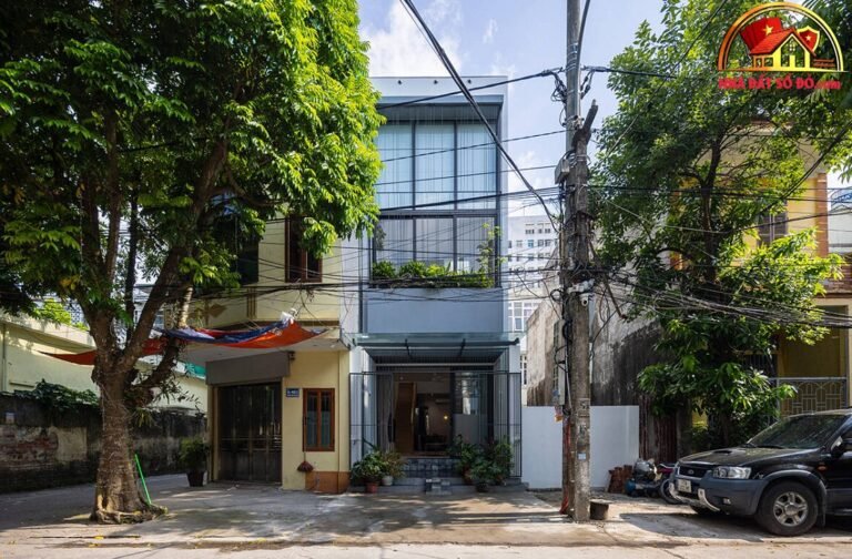 Giải pháp lệch tầng cho nhà phố đa thế hệ tại Hà Nội