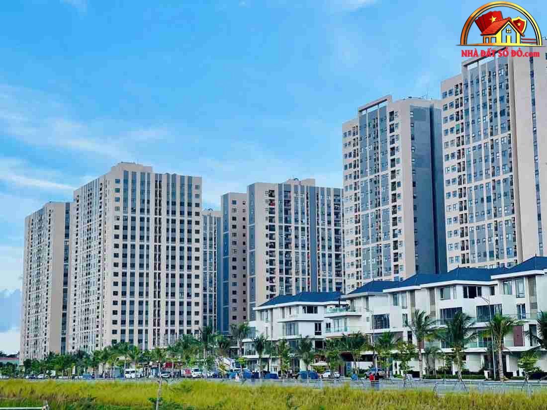 Xu Hướng Phát Triển Bất Động Sản Nhà Ở Xã Hội Tại Nghệ An 2026