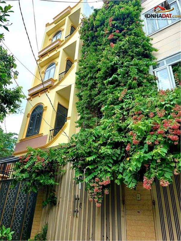 [Đánh Giá Bất Động Sản Sổ Đỏ] Nhà phố 62m2 tại Đường Đất Thánh, Quận Tân Bình – Vị trí đắc địa, pháp lý rõ ràng