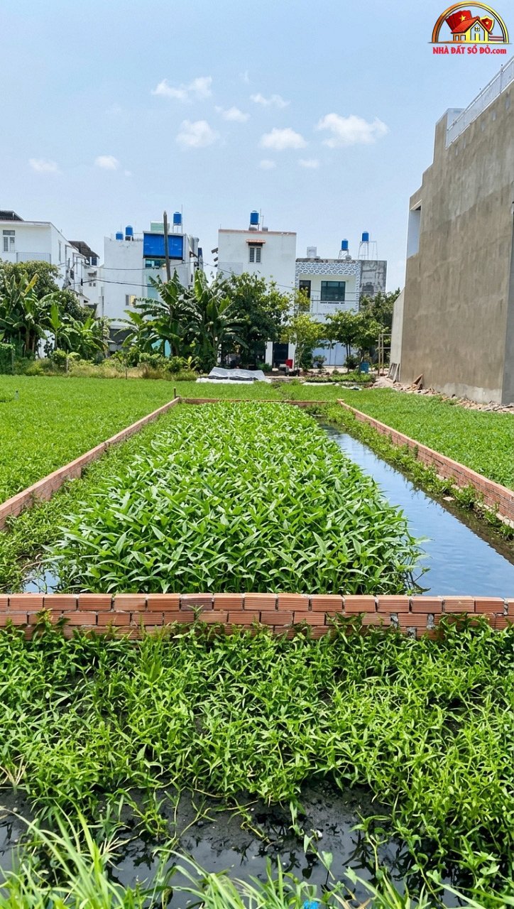 K2580 đất vuông vức 100m2 hẻm xe hơi sát chợ thạnh xuân – Phường cũ Thạnh Xuân Quận 12 – Phường mới Thạnh Xuân – Thành phố Hồ Chí Minh giá 2.4 tỷ