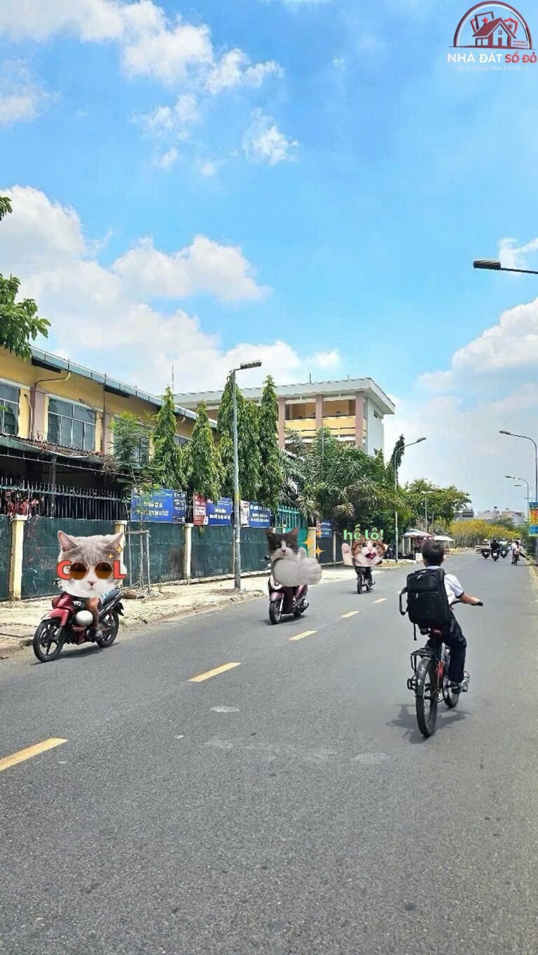 Bán nhà đất Đường Đường Số 3B – Phường cũ Bình Hưng Hòa A – Quận Bình Tân – Thành phố Hồ Chí Minh – Diện tích 100m2 – Giá 5.4 tỷ