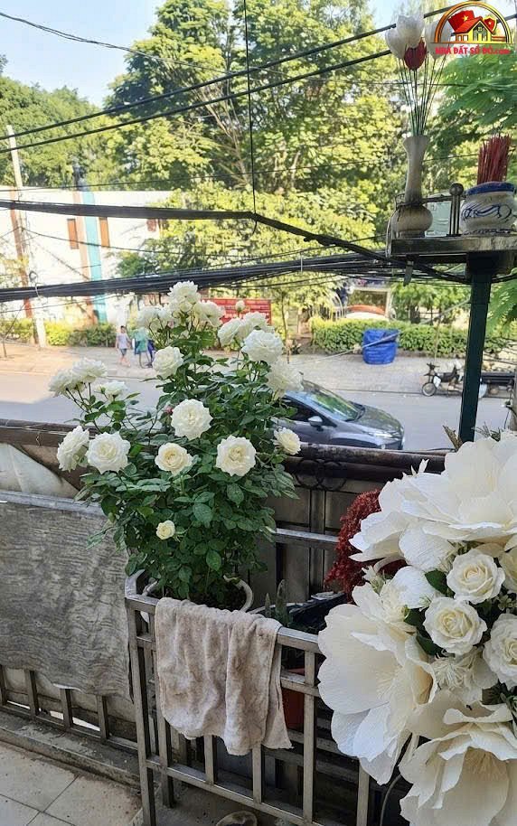 Bán nhà đất Đường Trường Sơn – Phường cũ 15 Quận 10 – Phường mới Hòa Hưng – Thành phố Hồ Chí Minh diện tích 96m2 giá 17 tỷ