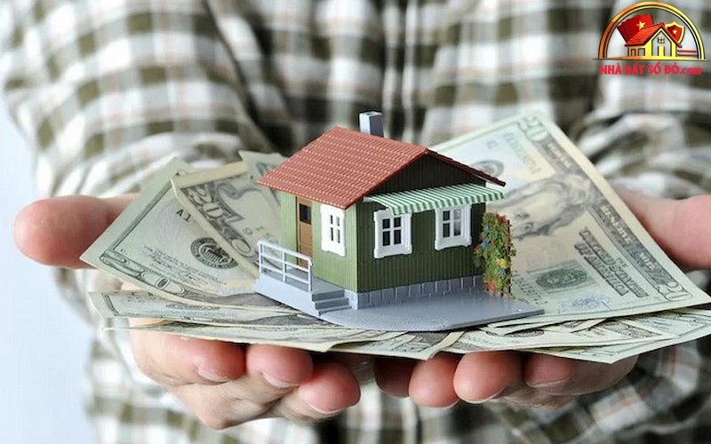 Đầu tư Chất Lượng với Bất Động Sản Thổ Cư Sổ Đỏ 2026